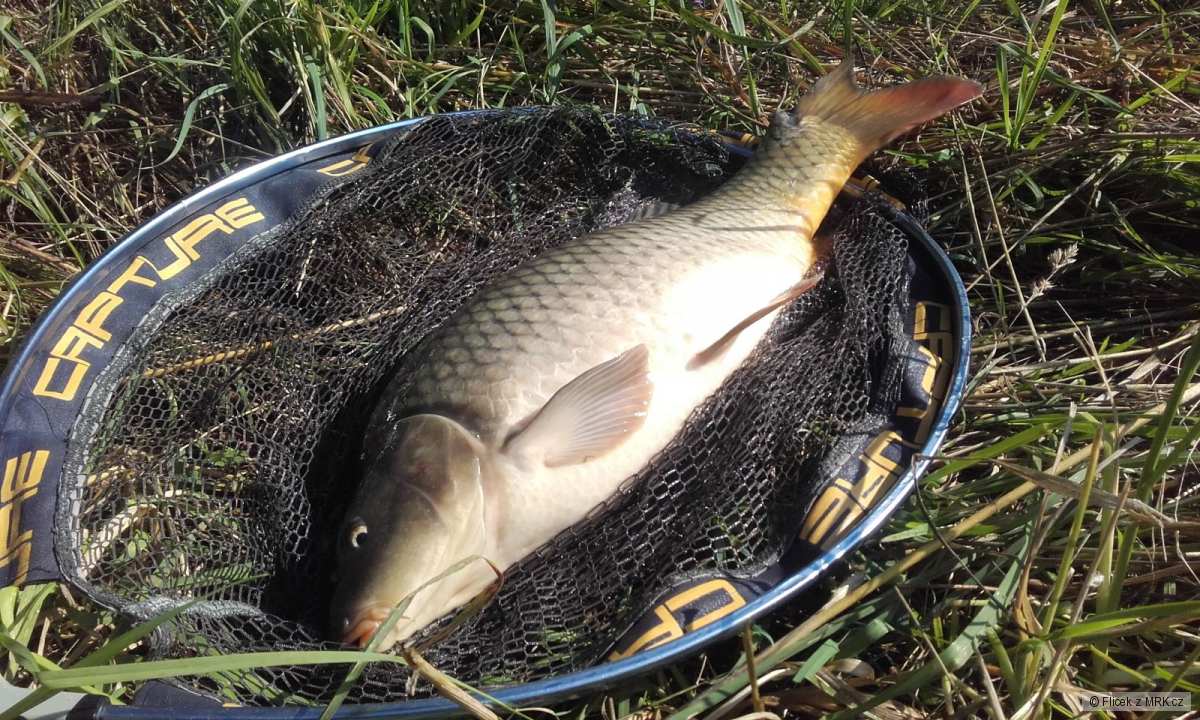 kliknutím fotku zvětšíte