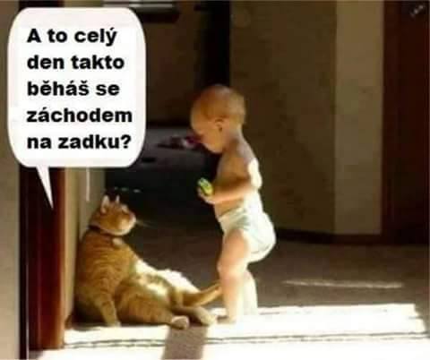 kliknutím fotku zvětšíte