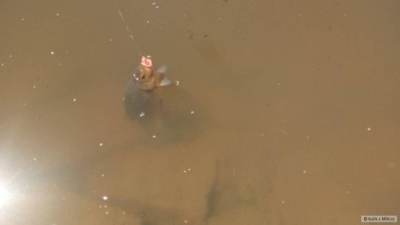 kliknutím fotku zvětšíte