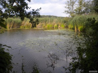 kliknutím fotku zvětšíte