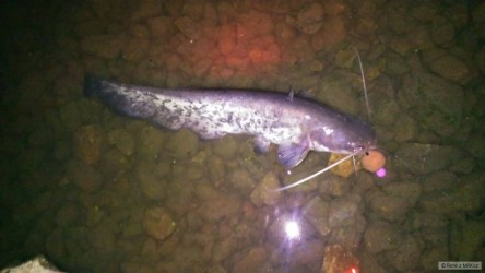 kliknutím fotku zvětšíte