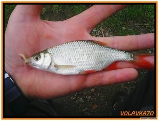 kliknutím fotku zvětšíte
