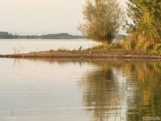 kliknutím fotku zvětšíte