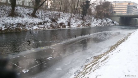 kliknutím fotku zvětšíte