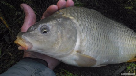kliknutím fotku zvětšíte