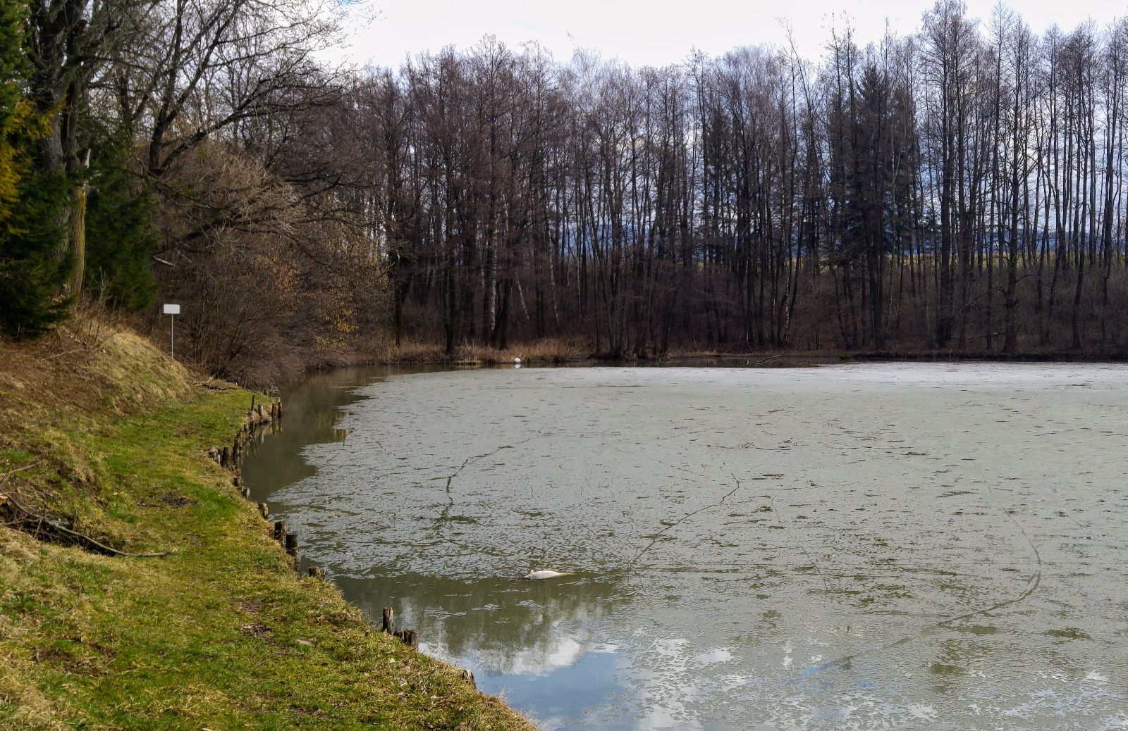 kliknutím fotku zvětšíte