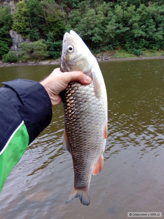 kliknutím fotku zvětšíte