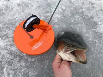 kliknutím fotku zvětšíte