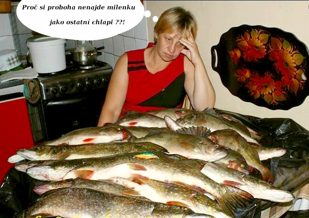 kliknutím fotku zvětšíte