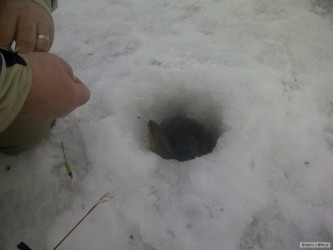 kliknutím fotku zvětšíte