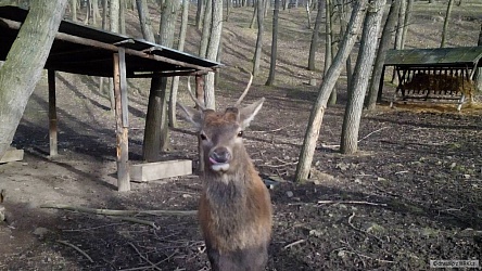 kliknutím fotku zvětšíte