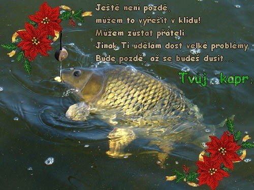 kliknutím fotku zvětšíte