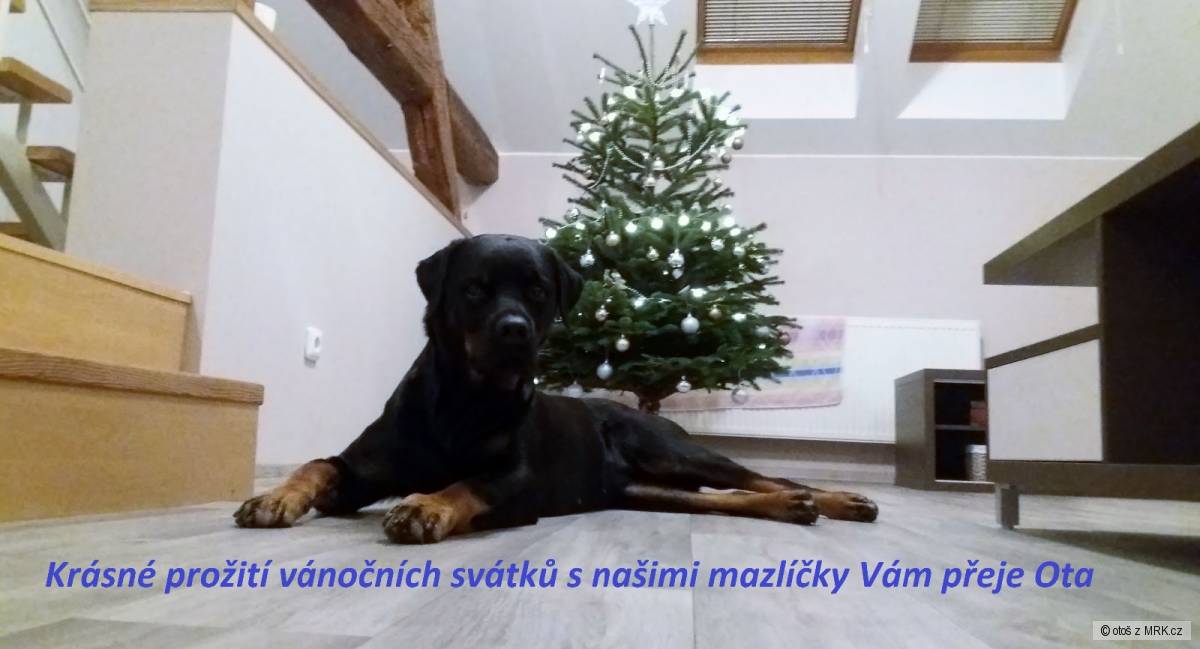 kliknutím fotku zvětšíte