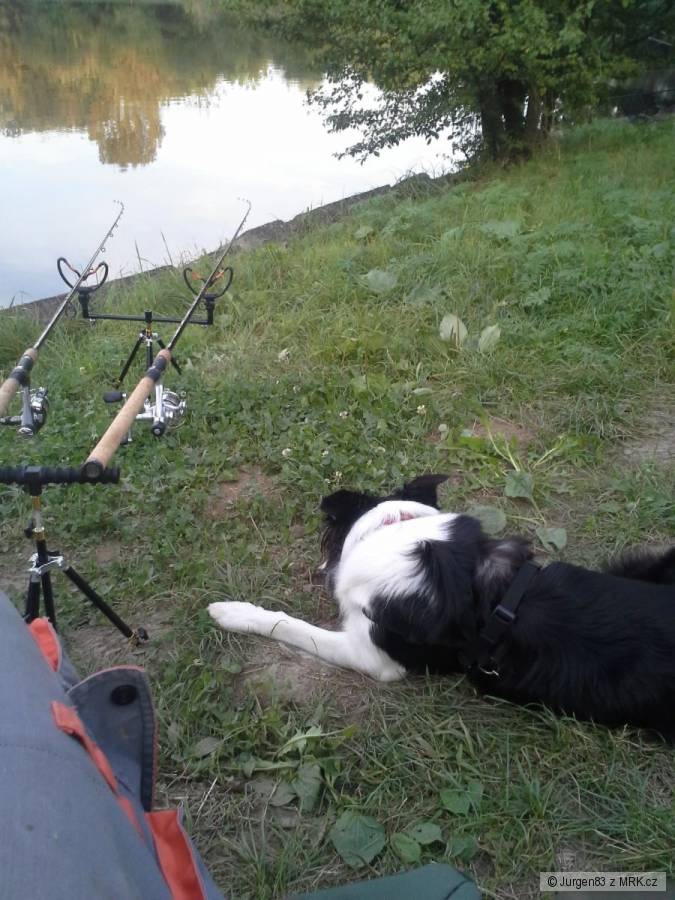 kliknutím fotku zvětšíte