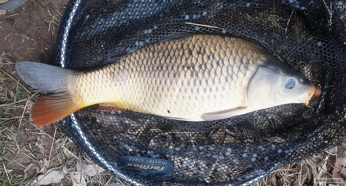 kliknutím fotku zvětšíte