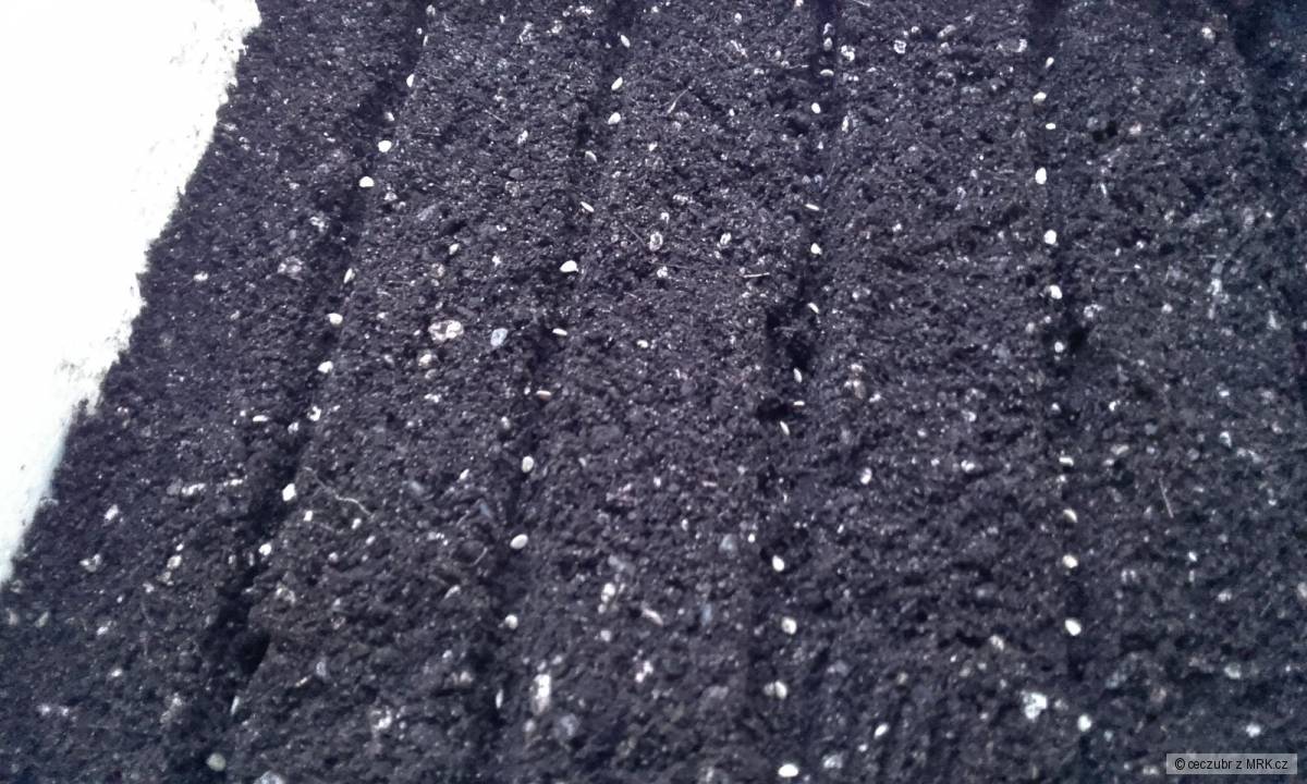 kliknutím fotku zvětšíte