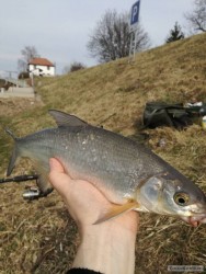 kliknutím fotku zvětšíte