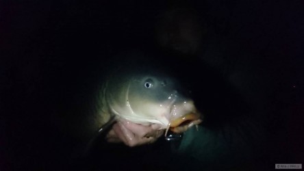 kliknutím fotku zvětšíte