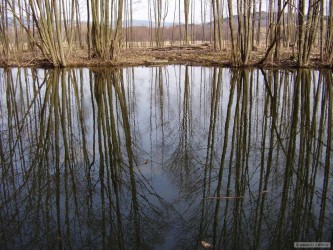 kliknutím fotku zvětšíte