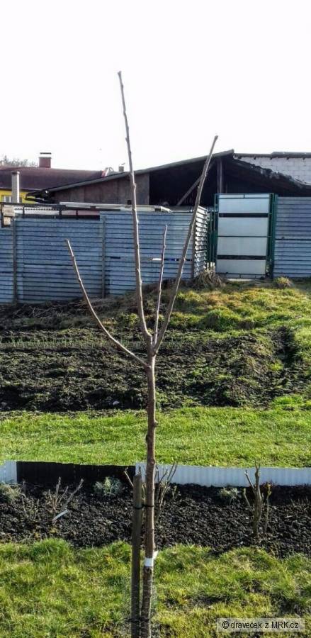 kliknutím fotku zvětšíte