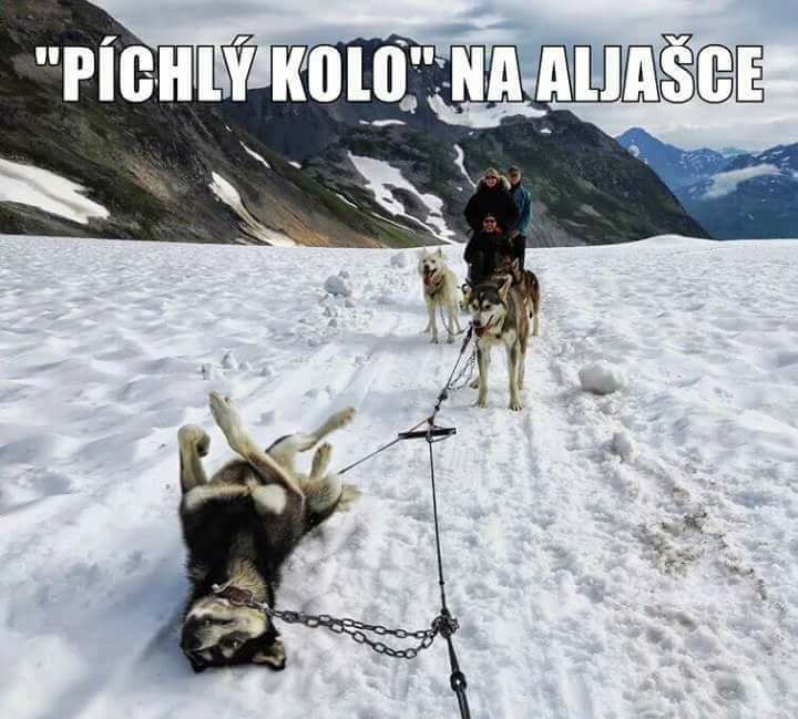 kliknutím fotku zvětšíte