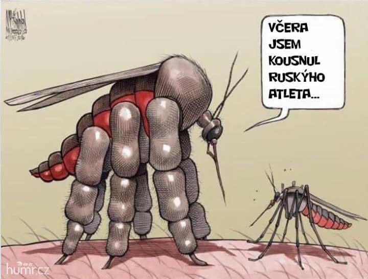 kliknutím fotku zvětšíte