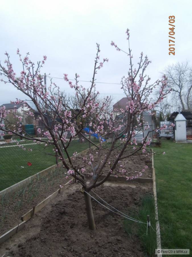 kliknutím fotku zvětšíte