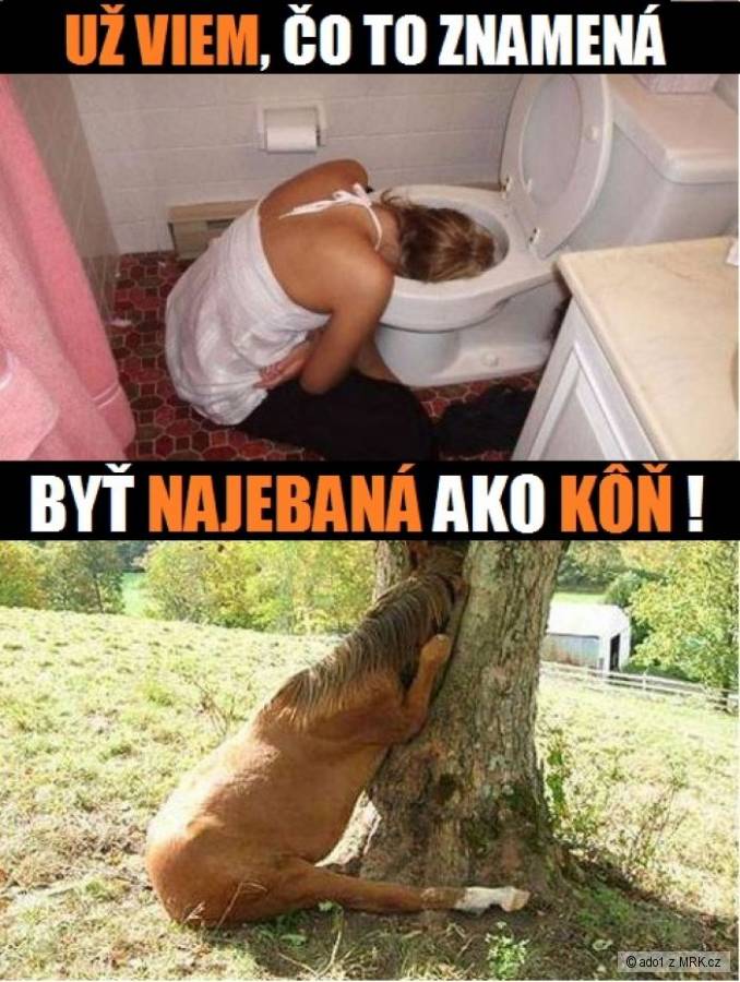 kliknutím fotku zvětšíte