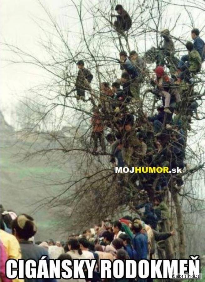 kliknutím fotku zvětšíte