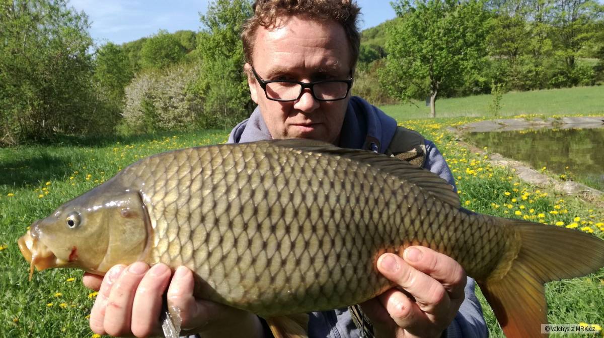 kliknutím fotku zvětšíte