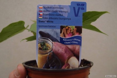 kliknutím fotku zvětšíte
