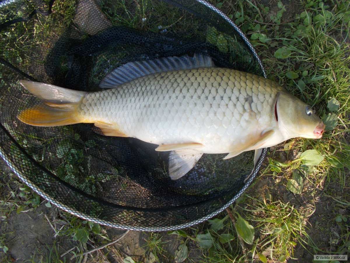 kliknutím fotku zvětšíte