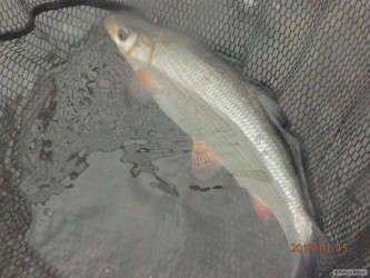 kliknutím fotku zvětšíte