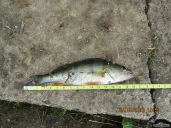 kliknutím fotku zvětšíte
