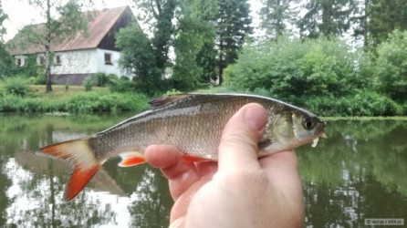 kliknutím fotku zvětšíte