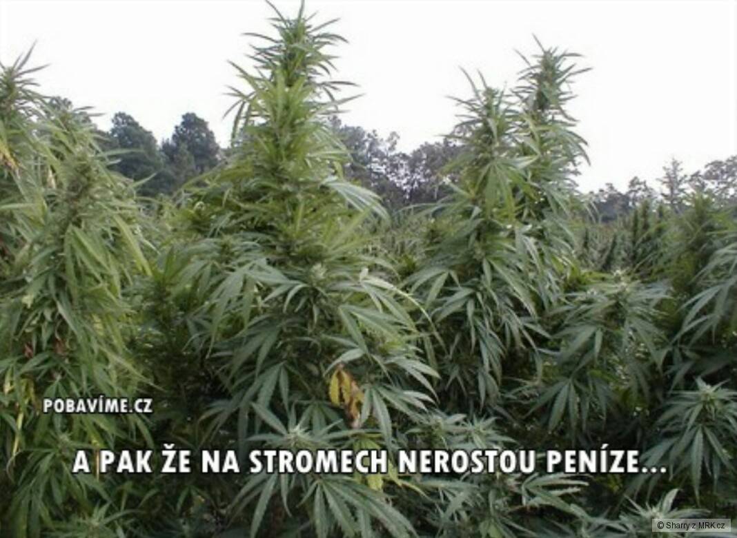 kliknutím fotku zvětšíte