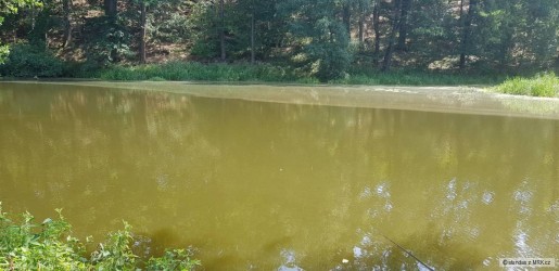 kliknutím fotku zvětšíte