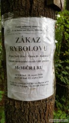 kliknutím fotku zvětšíte
