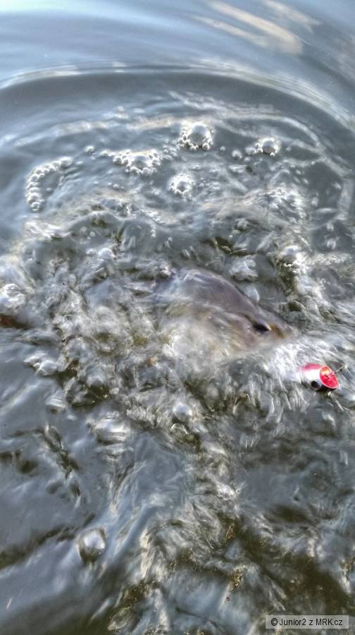 kliknutím fotku zvětšíte