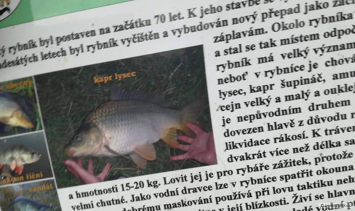 kliknutím fotku zvětšíte