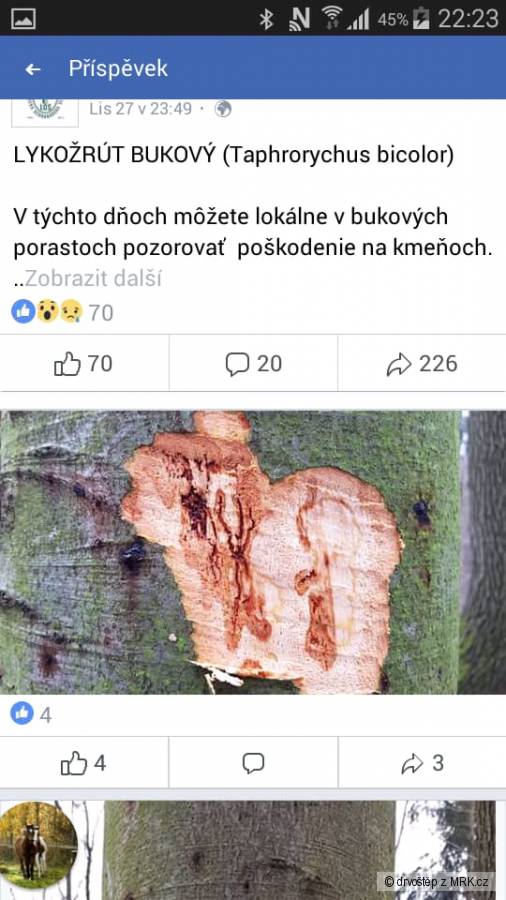 kliknutím fotku zvětšíte