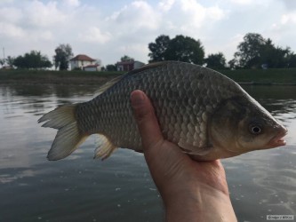 kliknutím fotku zvětšíte
