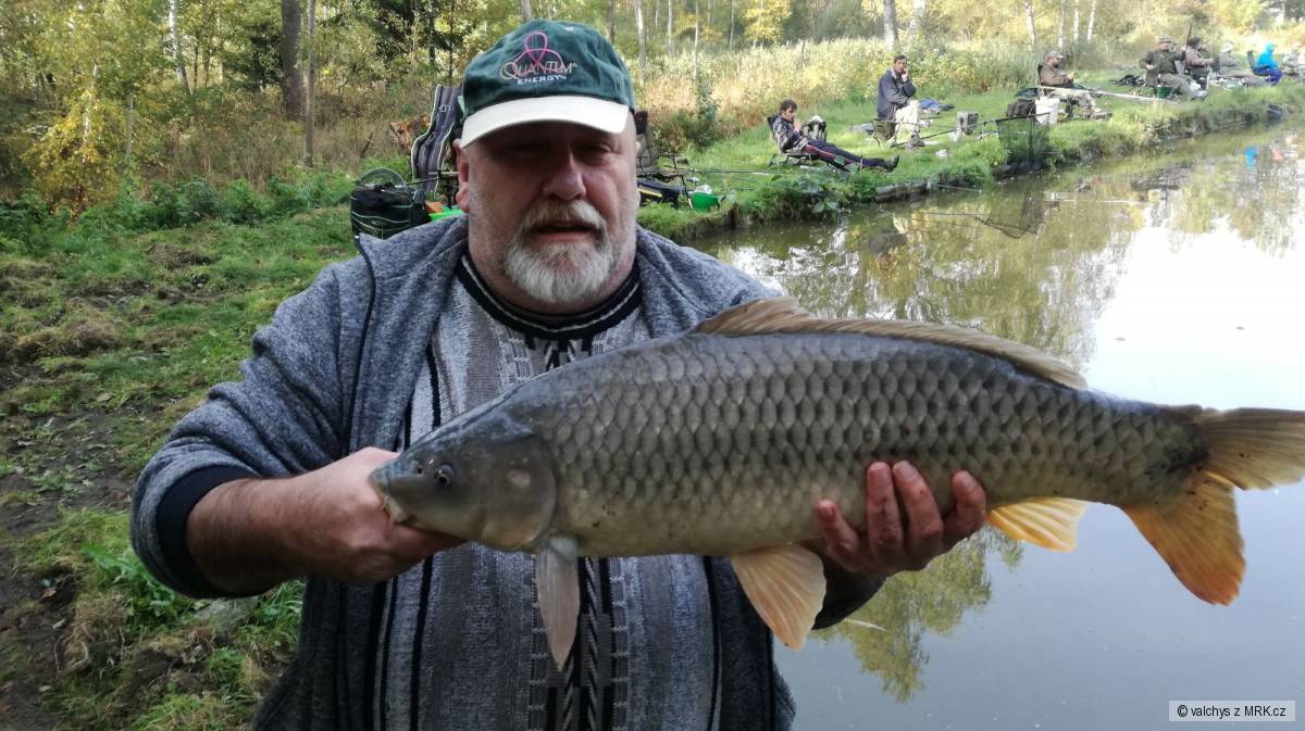 kliknutím fotku zvětšíte