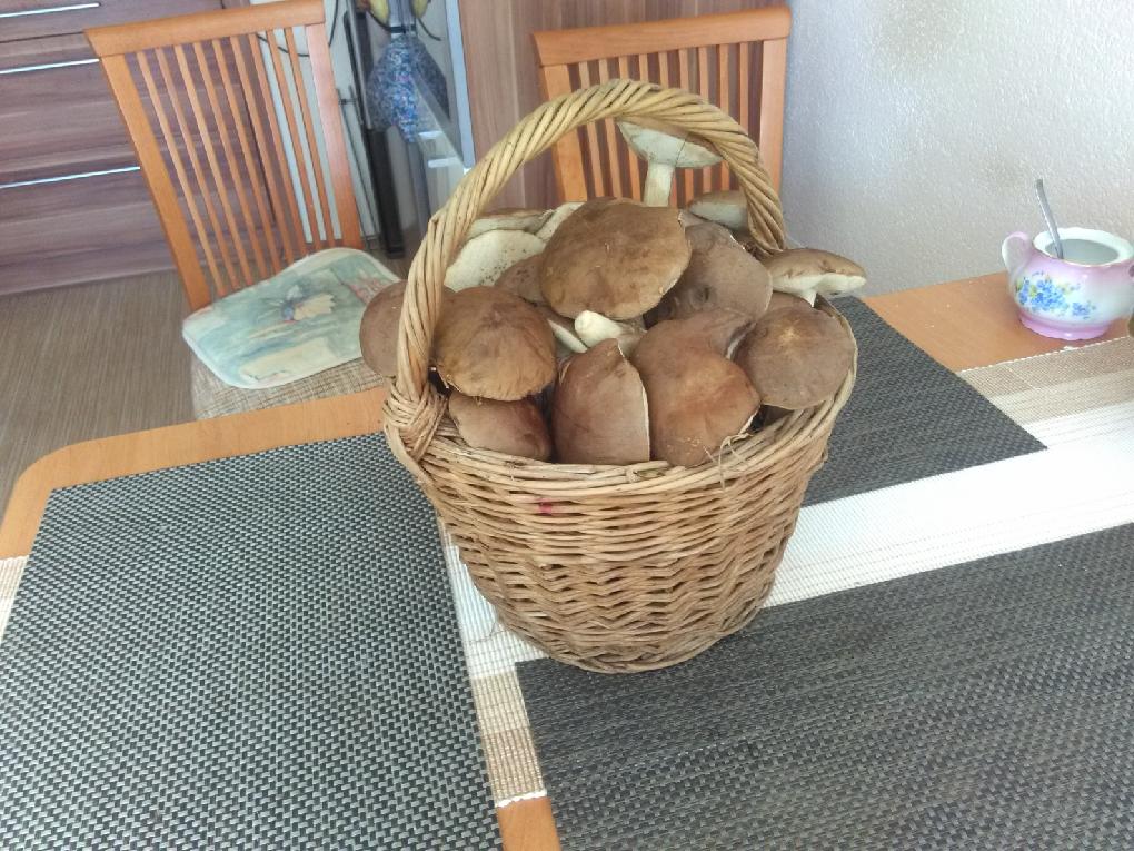 kliknutím fotku zvětšíte