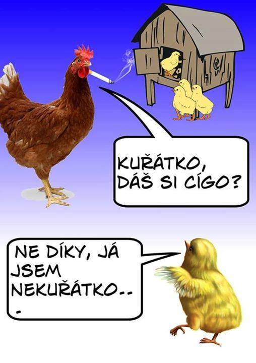 kliknutím fotku zvětšíte