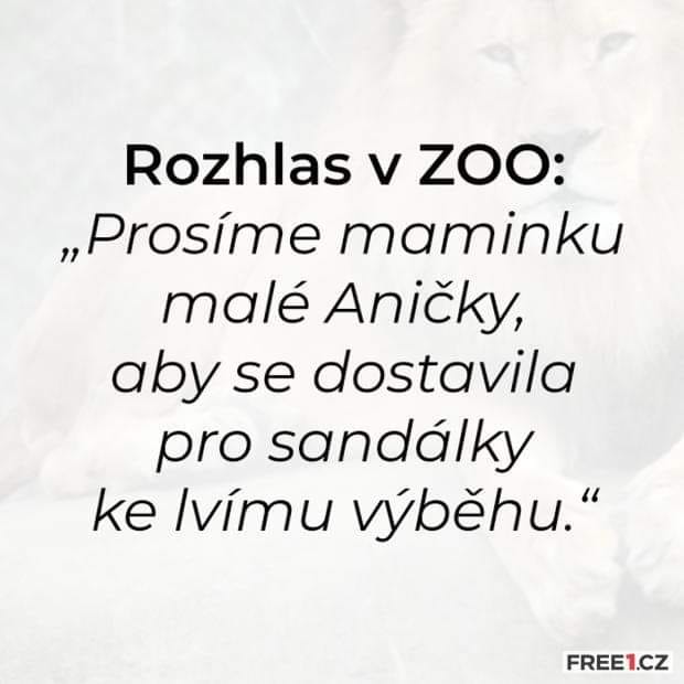 kliknutím fotku zvětšíte
