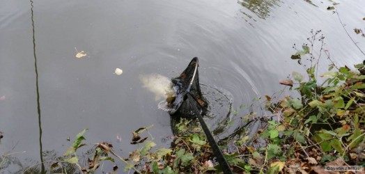 kliknutím fotku zvětšíte