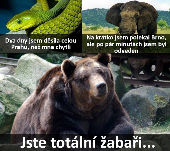 kliknutím fotku zvětšíte