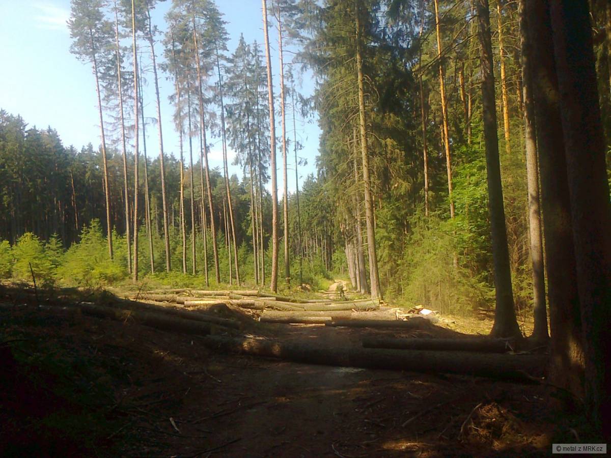 kliknutím fotku zvětšíte