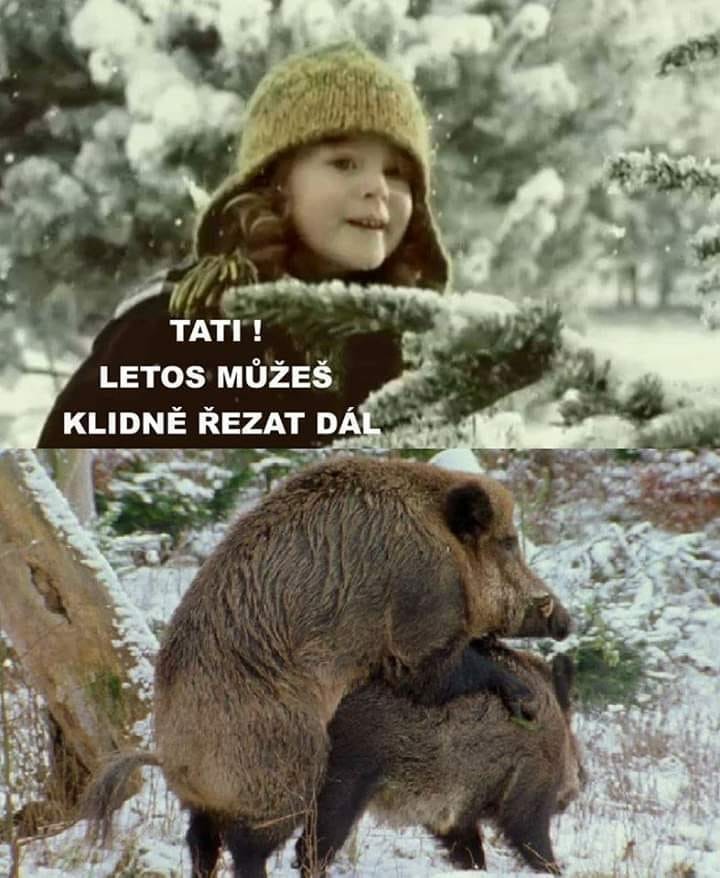kliknutím fotku zvětšíte